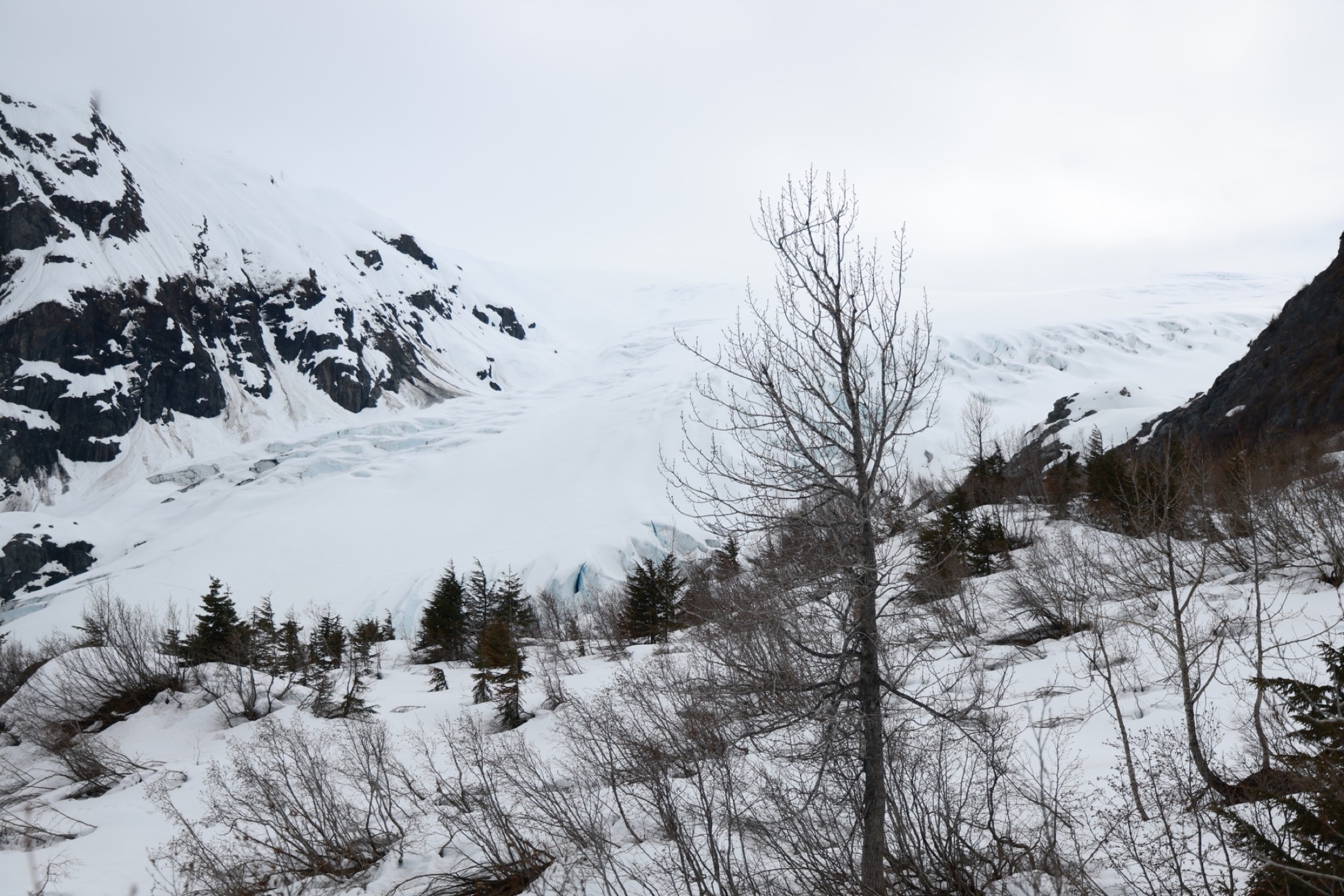 Exit Glacier extending through a snow-covered mountain valley